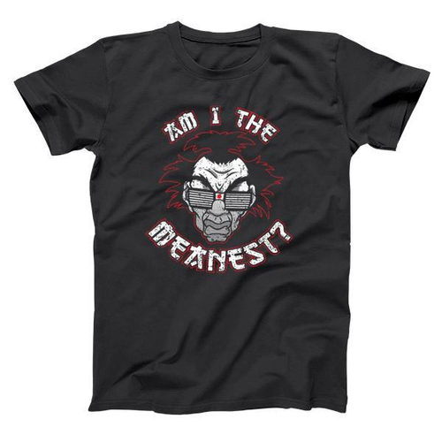 Am I The Meanest Sho Nuff Men's T-Shirt