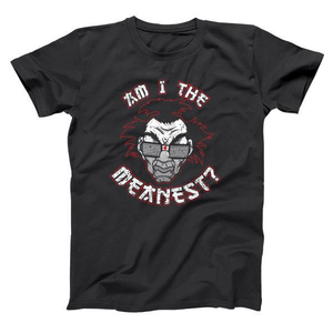 Am I The Meanest Sho Nuff Men's T-Shirt